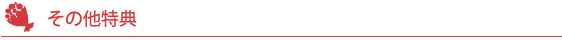 その他特典